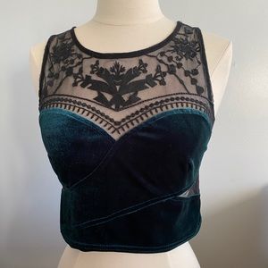 UO Mesh and Velvet Embroidered Dressy Crop Top